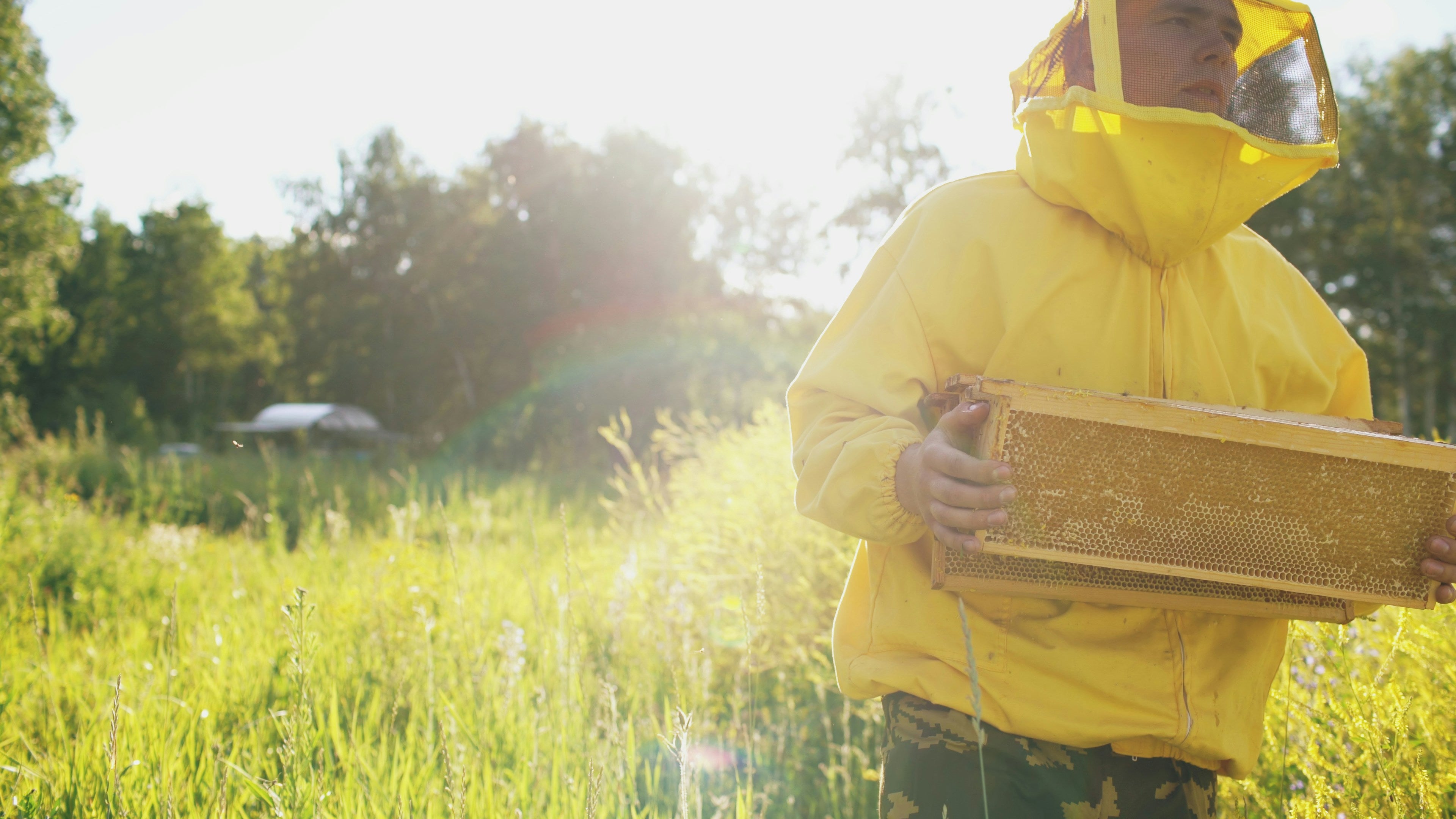 A person in a yellow beekeeping suit holds a honeycomb frame in a sunny, grassy field with trees in the background.